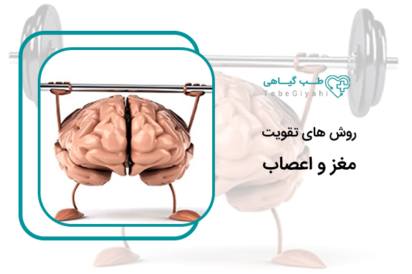 تقویت مغز و اعصاب