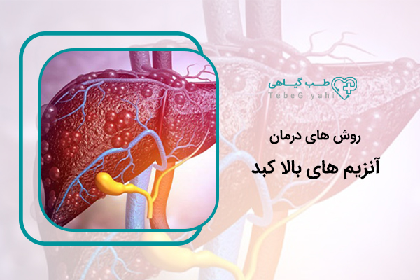 درمان آنزیم های بالا کبد