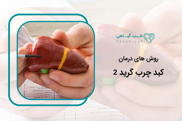 درمان کبد چرب گرید ۲