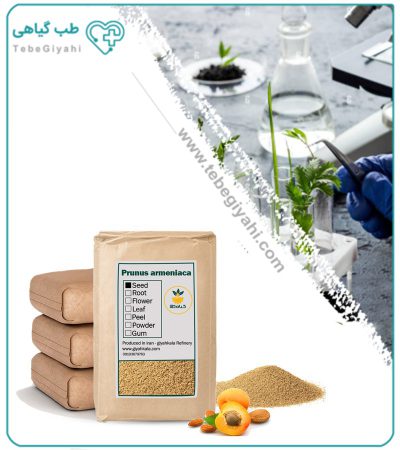 اسکراب پوست هسته زردآلو فله