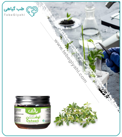 معجون ترکیبی اوشن