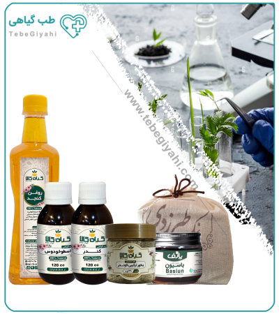 تقویت مغز و اعصاب گیاهی