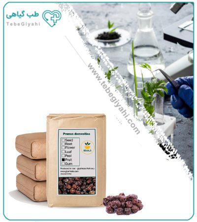 آلوچه درشت فله