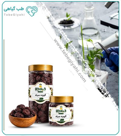 آلوچه سیاه طلایی ارگانیک