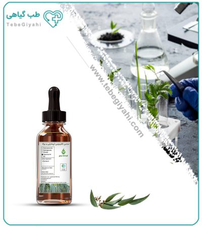 اسانس اکالیپتوس مخصوص آروماتراپی و یوگا