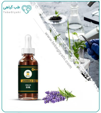 روغن اسطوخودوس برای رفع شپش سر