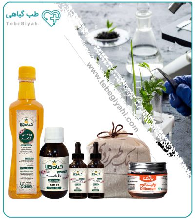 تقویت حافظه (مغز سرد و خشک) گیاهی