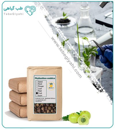 آمله مقشر هندی خشک فله