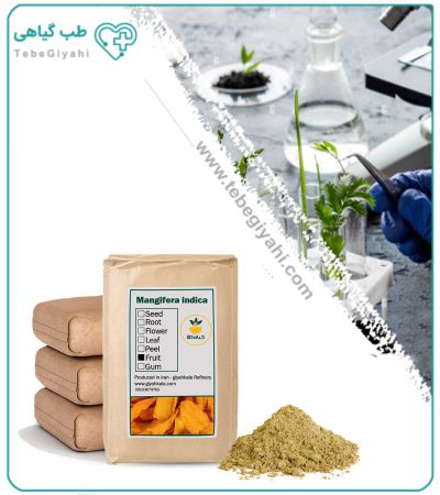 پودر ادویه انبه فله