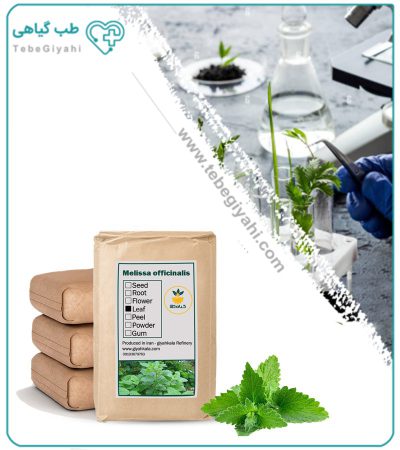 بادرنجبویه خشک فله