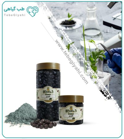 میوه بلوبری خشک یا پودری بسته بندی