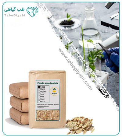 بذر آنغوزه خشک فله_67f6408dceef9.jpeg