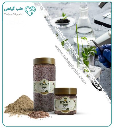 بذر اسفرزه خشک یا پودری بسته بندی_683c2893230bb.jpeg