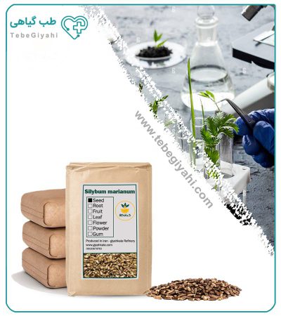 بذر خار مریم خشک فله_67f640ca2fae1.jpeg