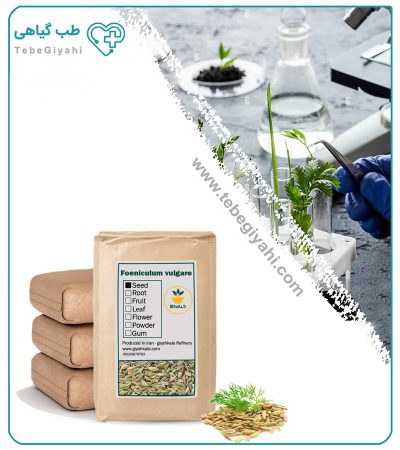 بذر رازیانه خشک فله_67f640acd8423.jpeg