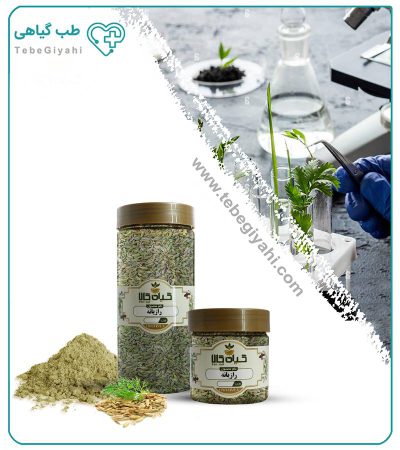 بذر رازیانه خشک یا پودری بسته بندی_683c44a9aa4b6.jpeg