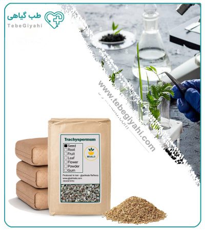بذر زنیان خشک فله_68dd0a93b1d96.jpeg