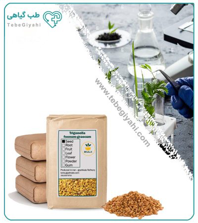 بذر شنبلیله خشک فله_67f6414402320.jpeg