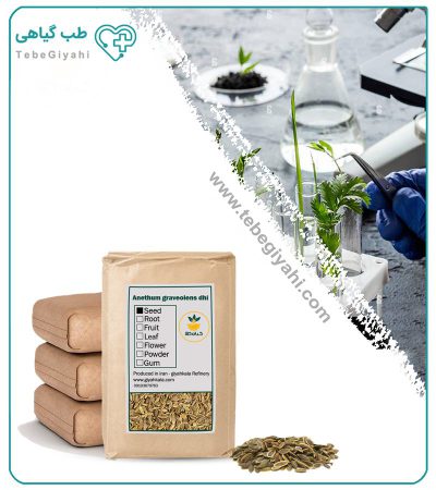 بذر شوید خشک فله_67f640d1d383a.jpeg