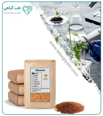 بذر قدومه خشک فله_67f79a38b2575.jpeg