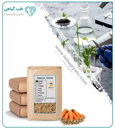 بذر هویج خشک فله_692bb35a2274c.jpeg