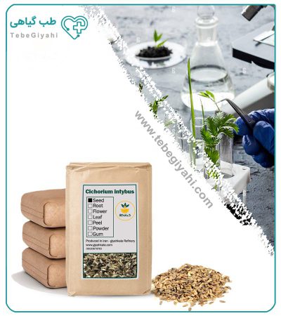 بذر کاسنی خشک فله_67f6404e08843.jpeg