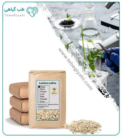 بذر کاهو خشک فله_67f641d40e536.jpeg