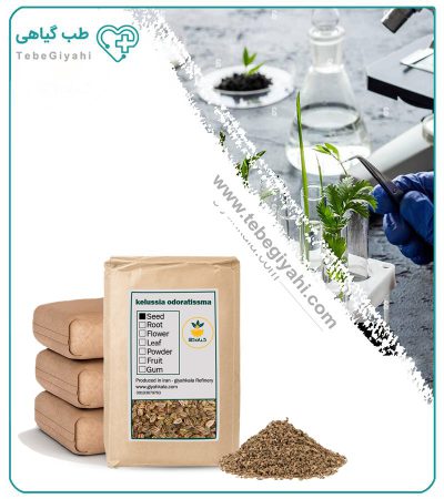 بذر کرفس خشک فله_68ff521633961.jpeg