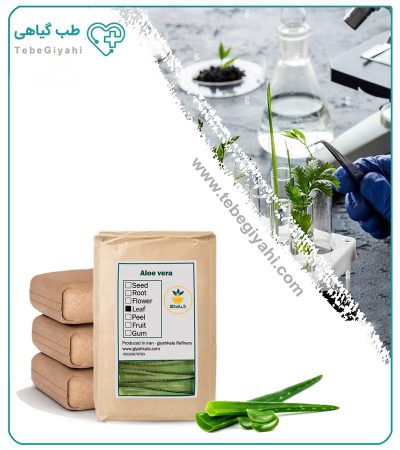 برگ آلوئه ورا تازه فله_67fb7ebb65be0.jpeg