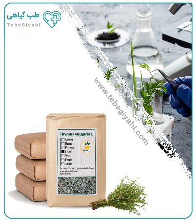 برگ آویشن باغی خشک فله_67f7a3db578e7.jpeg