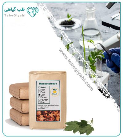 برگ افرا خشک فله_67fb7d4cbcc08.jpeg