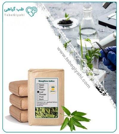 برگ انبه خشک فله_67f7a48ec5a8f.jpeg