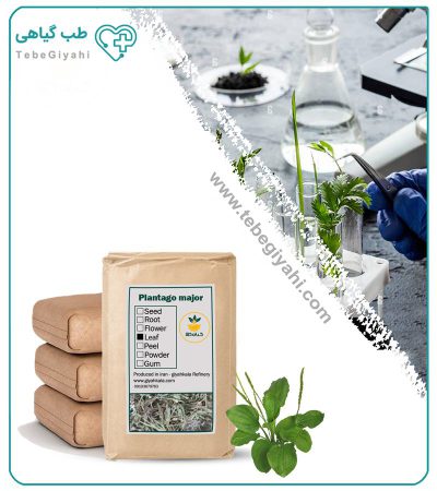 برگ بارهنگ خشک فله_67f7a59c87d41.jpeg