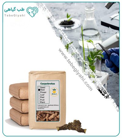 درونج عقربی خشک فله_67f64364defbc.jpeg
