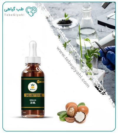 روغن شی باتر مخصوص مو_67f7a2ebb7934.jpeg