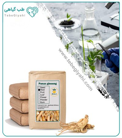 ریشه جینسینگ سفید خشک فله_67f642a89e61e.jpeg