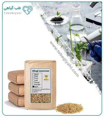 صمغ ترنجبین خشک فله_67f649a88bce7.jpeg