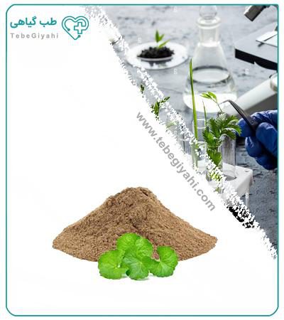 عصاره آب قاشقی خشک (پودری)_6803554a71016.jpeg