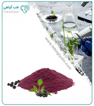 عصاره آقطی سیاه (الدربری) خشک یا پودری_6803556fabe10.jpeg