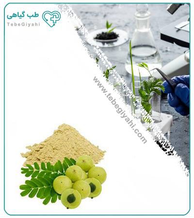 عصاره آمله خشک یا پودری_6803566e94184.jpeg