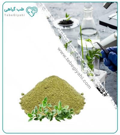 عصاره آویشن شیرازی خشک یا پودری_680355d7441e6.jpeg