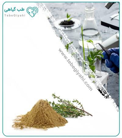 عصاره آویشن کوهی خشک یا پودری_6891be384c286.jpeg