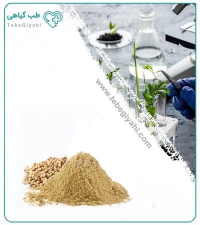 عصاره تخم گشنیز خشک یا پودری_681a591d2045d.jpeg