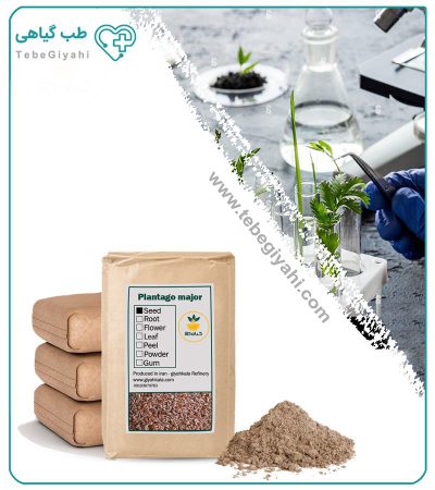 پودر دانه بارهنگ فله_67f63f2ef388d.jpeg