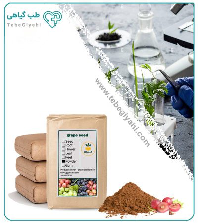 پودر هسته انگور فله_67f63f37042e9.jpeg