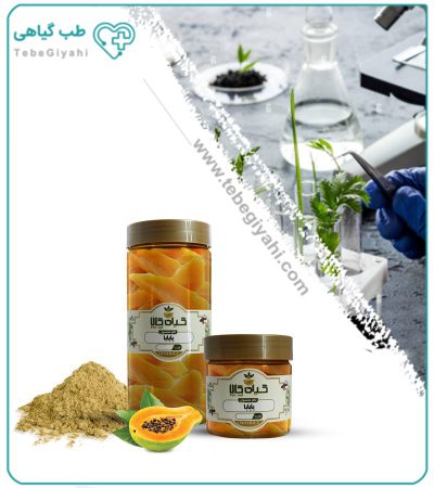 میوه پاپایا خشک یا پودری بسته بندی