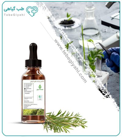 اسانس درخت چای طبیعی بسته بندی