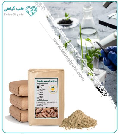 پودر ریشه آنغوزه فله