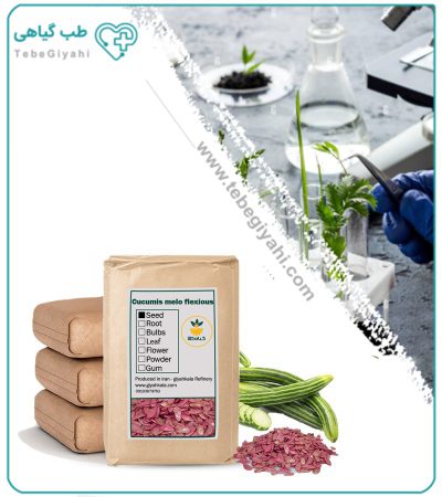 بذر خیار چنبر خشک فله