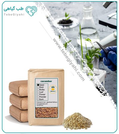 بذر خیار سبز خشک فله